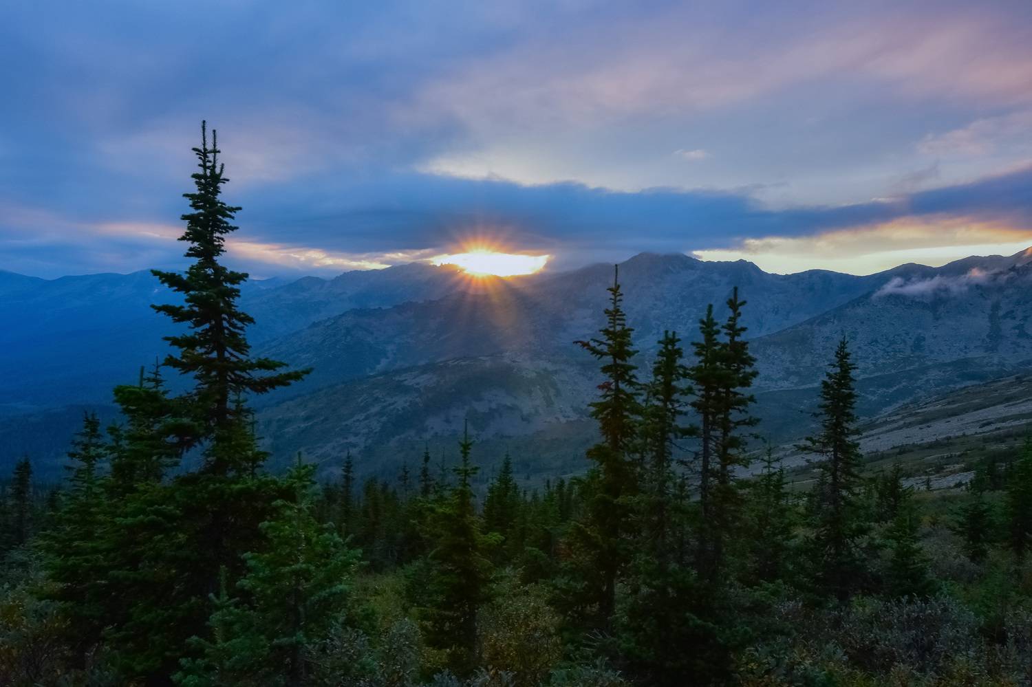 россия, хакасия, хребет кузнецкий алатау, лето, вечер. закат, солнца, ёли, горы, Холзаков Вячеслав