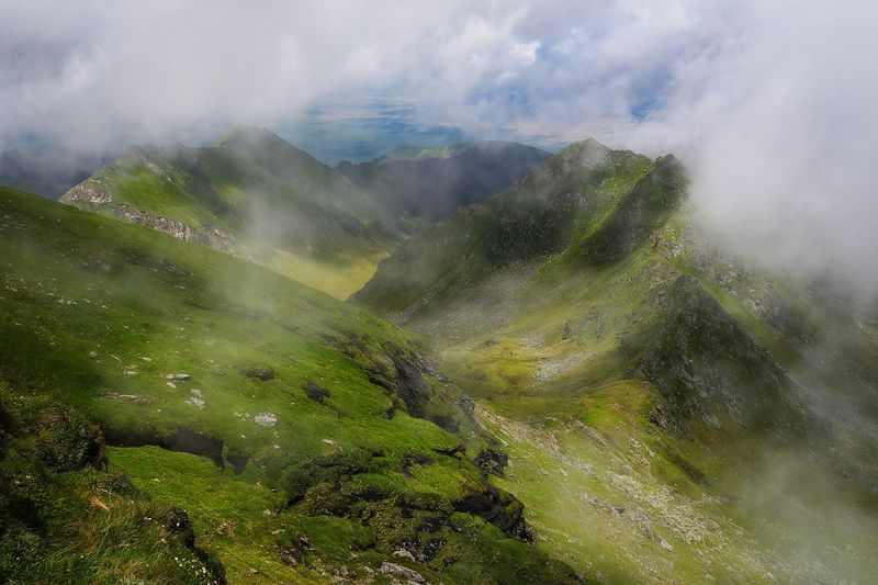 2025 фото превью