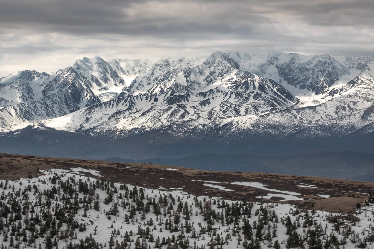 , Коротеев Вадим
