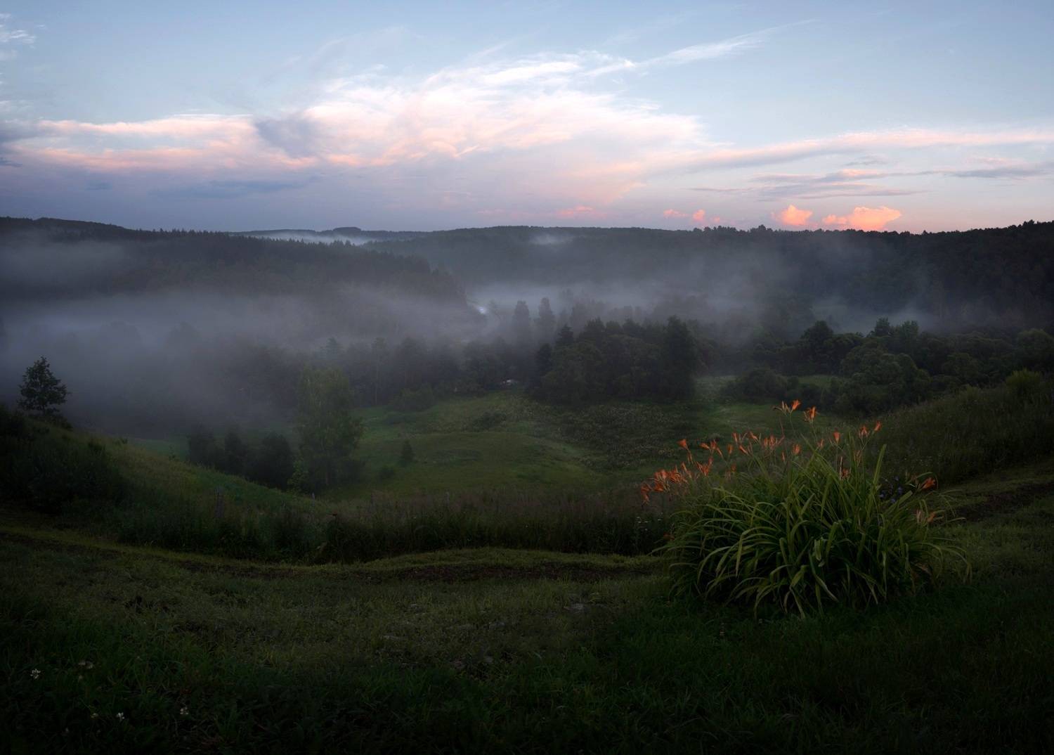 туман, свет, вечер, природа, Баранов Олег