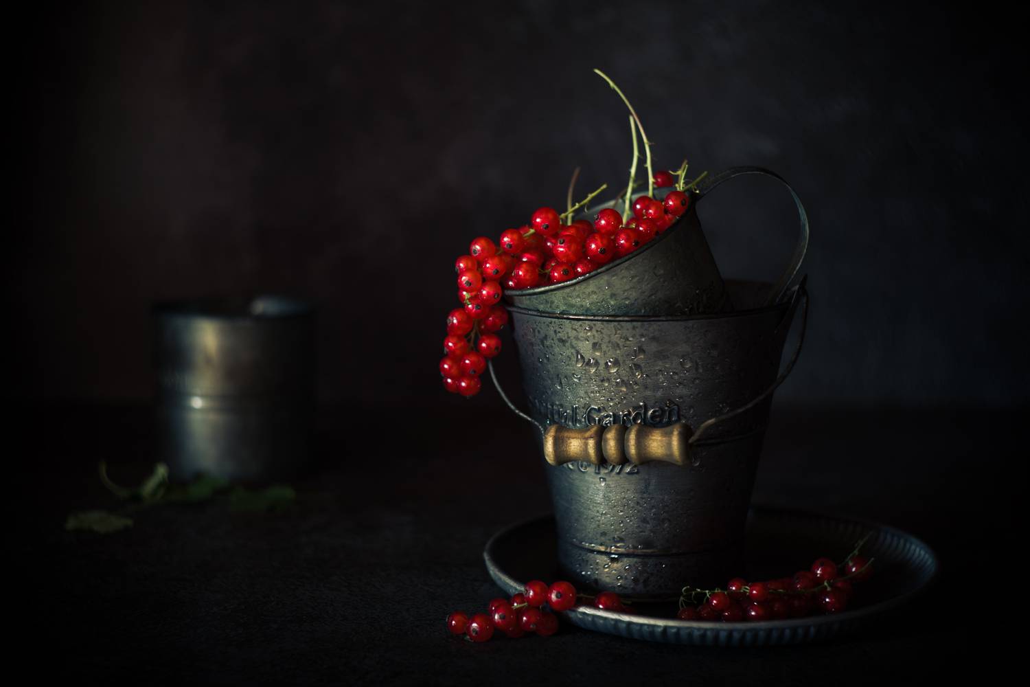 лето, смородина, красная смородина, натюрморт, Александр Азаренков