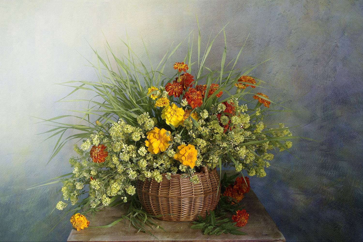 натюрморт, цветы, вера павлухина,бархатцы,, Вера  Павлухина