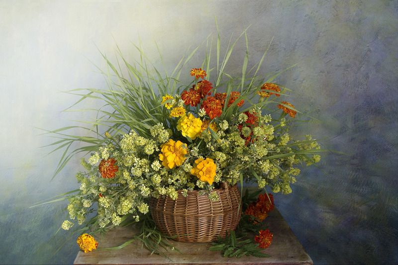 Солнечные бархатцы фото превью