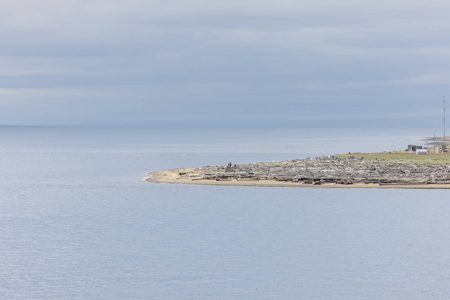 , Шурчков Юрий