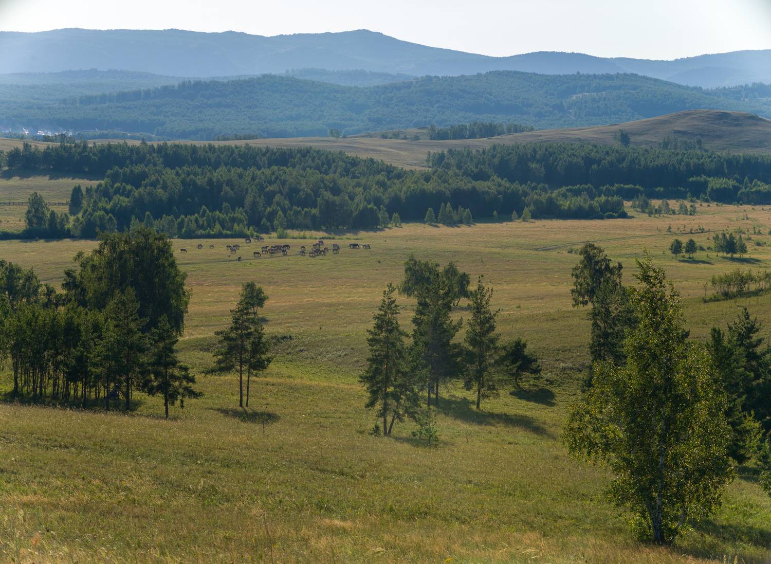 , Шустиков Дмитрий