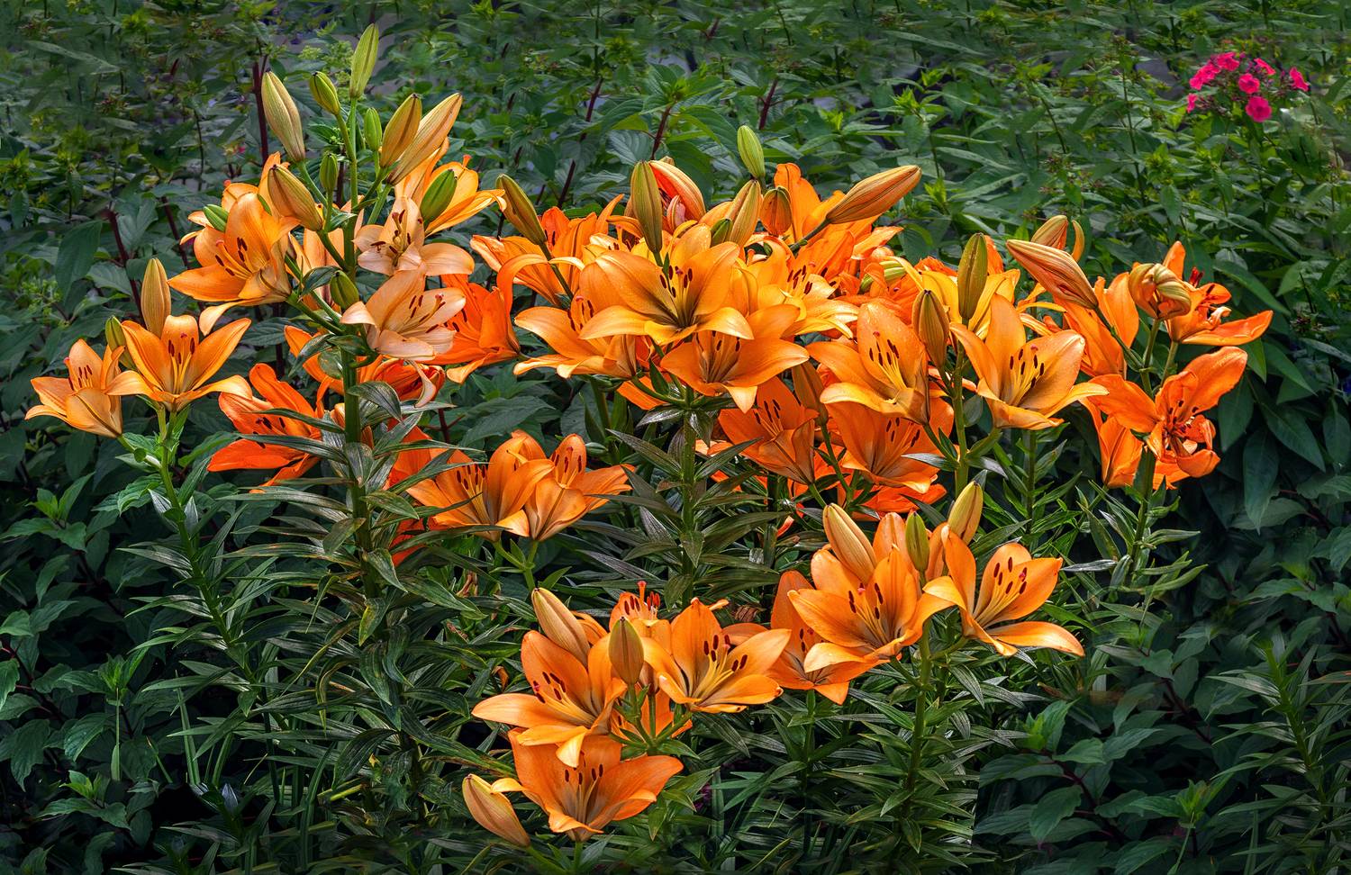 , Ушаков Валерий