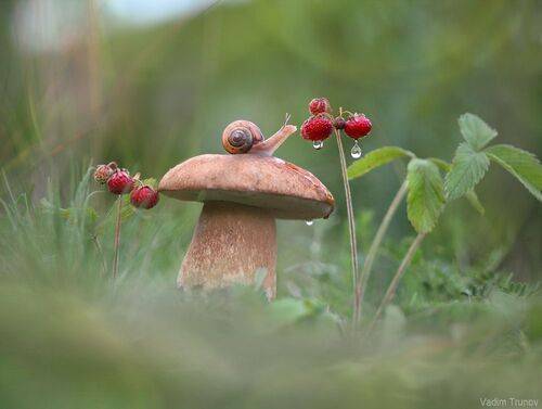 После дождя