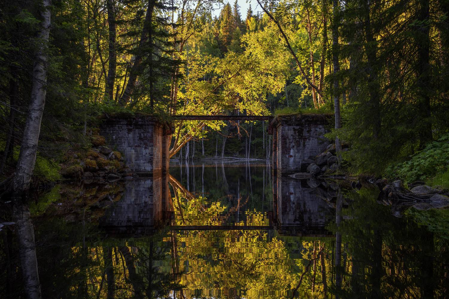 соловки, соловецкие острова, канал, Олег Зверев