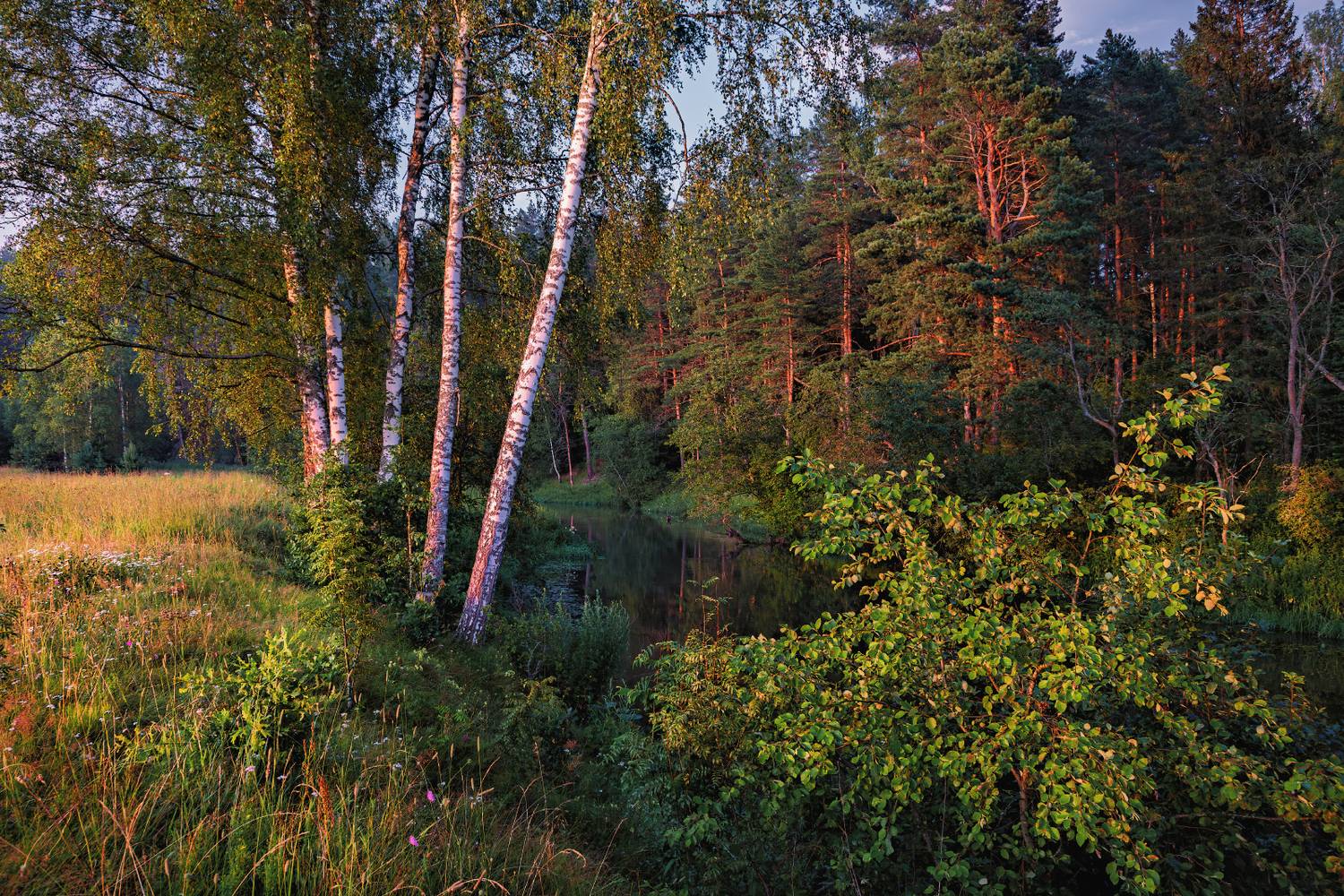 , Евгений Ерохин