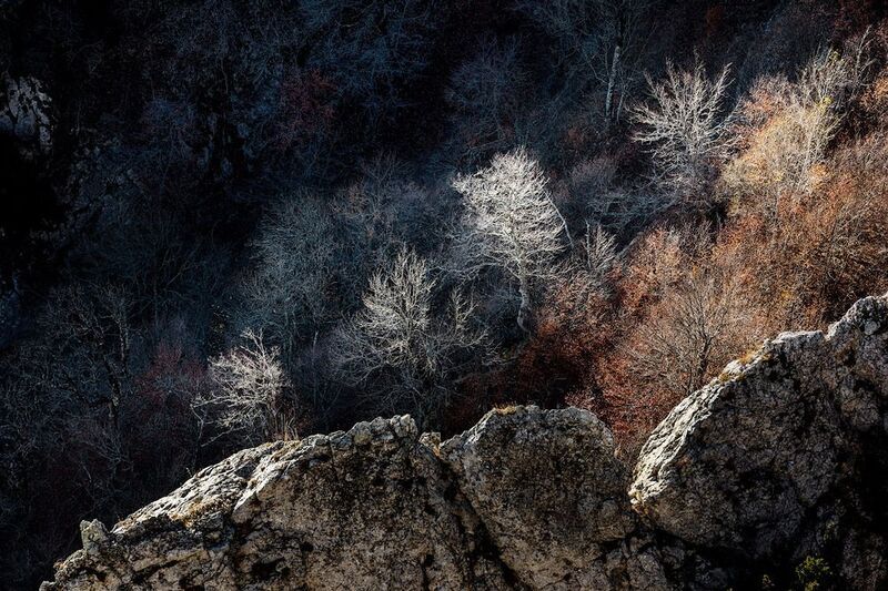 Тени фото превью