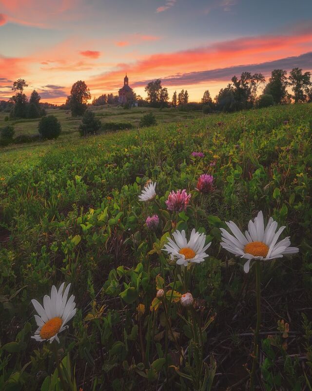 Вечерние краски июля фото превью