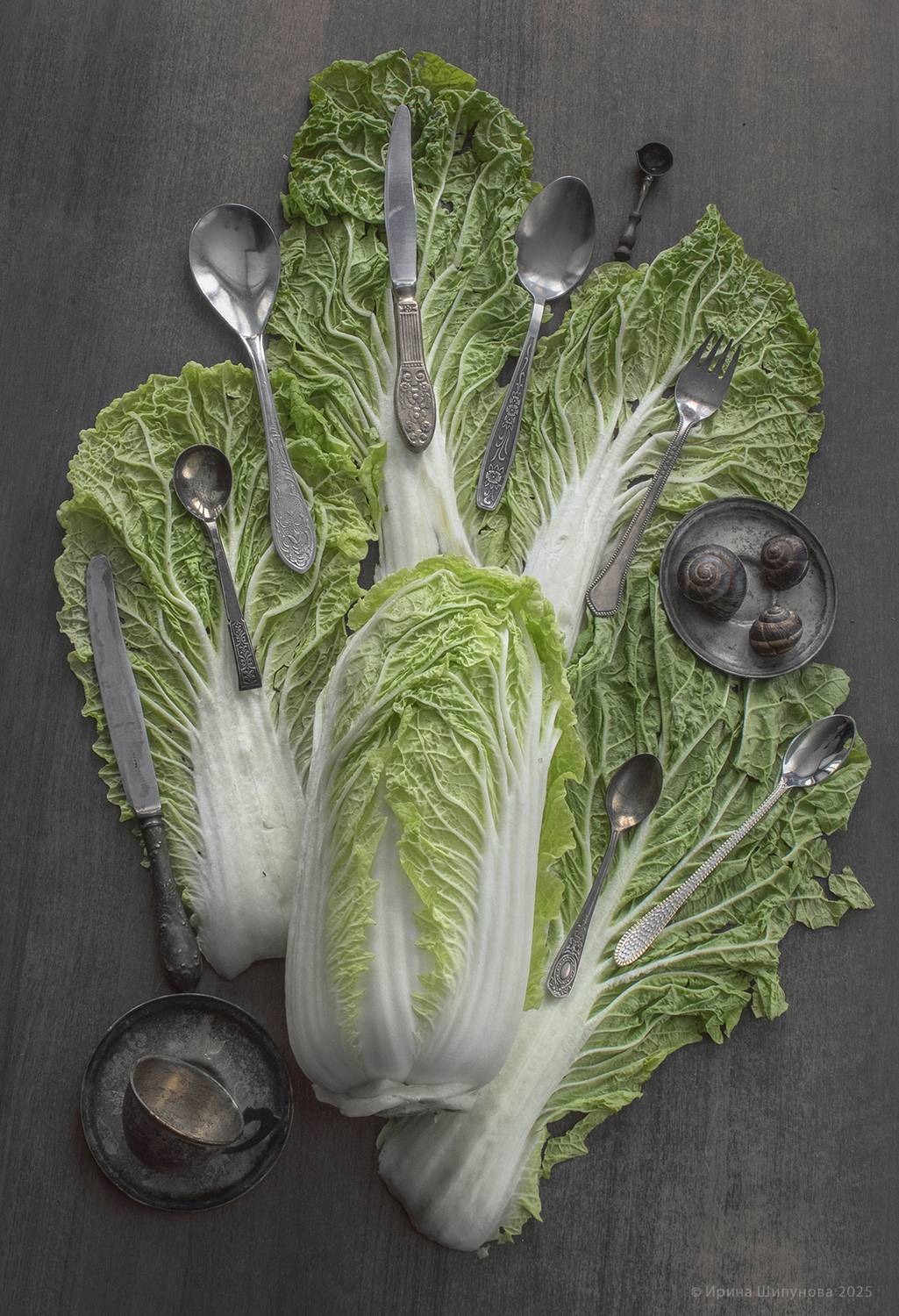 флетлей, артфото, Шипунова Ирина