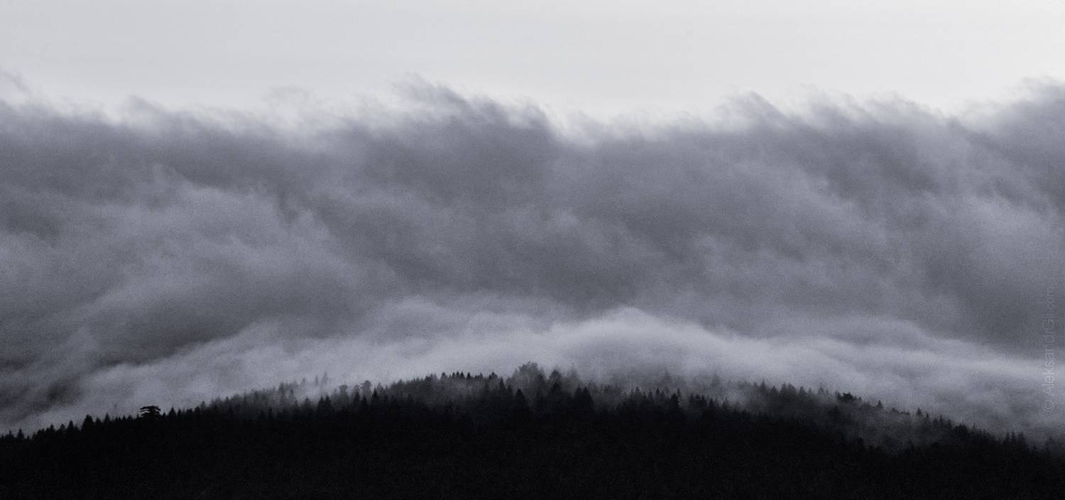 , Гиль Александр