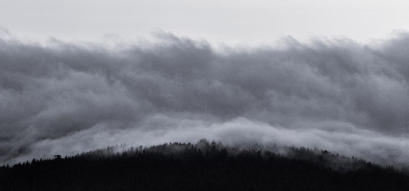 Пух и прах фото превью