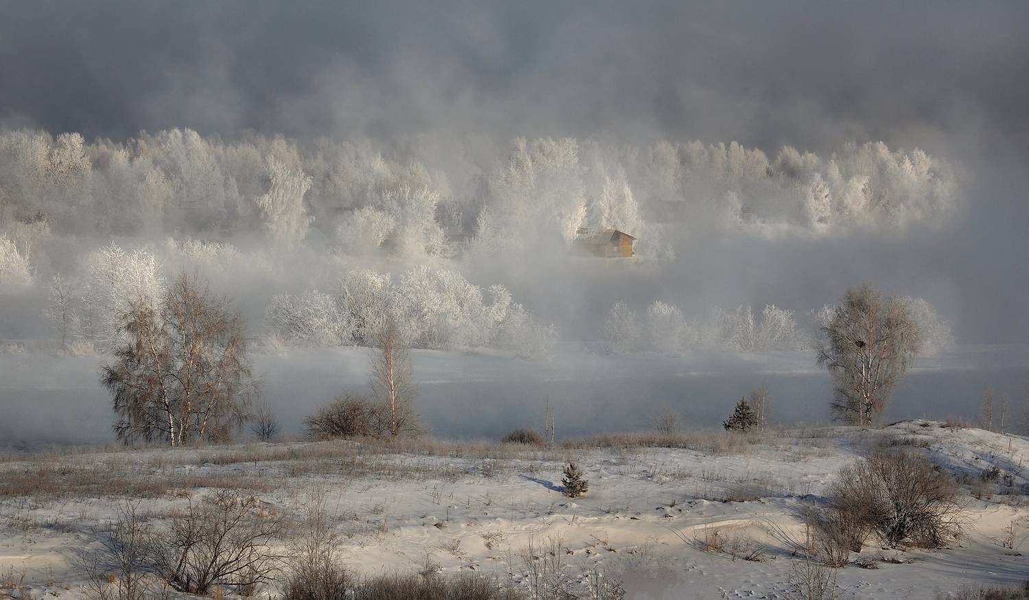 , Александр Попов
