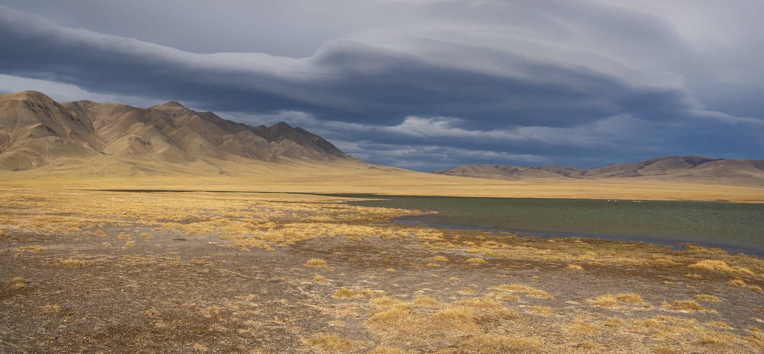 , Лещёнок Александр