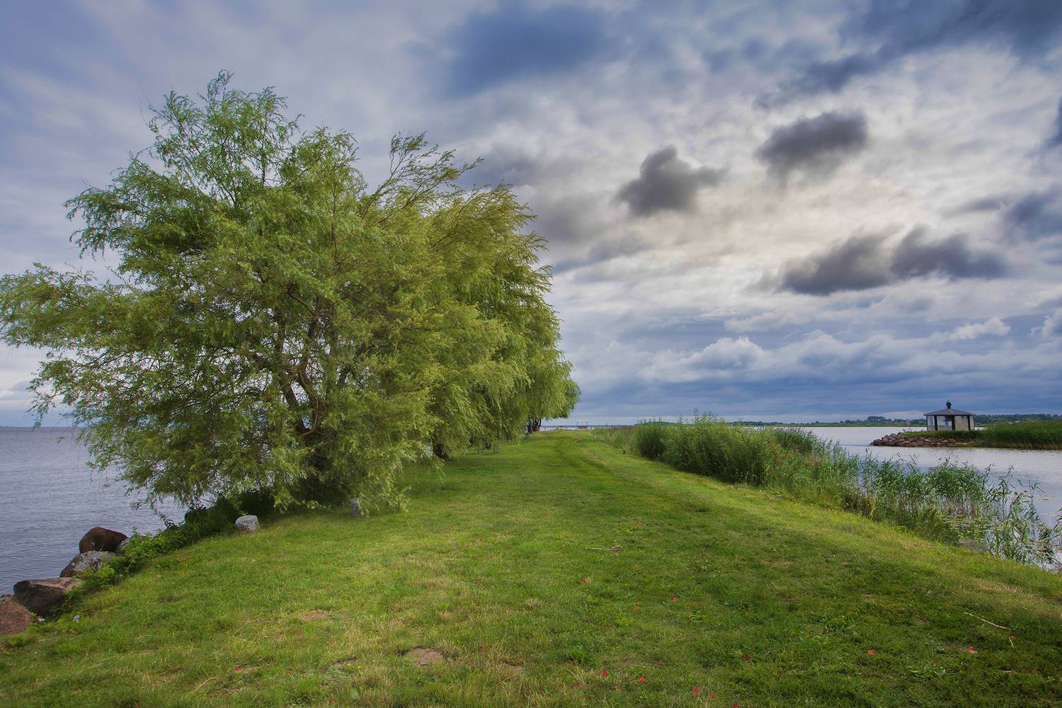 псковская область,псковское озеро, Александр Смыков