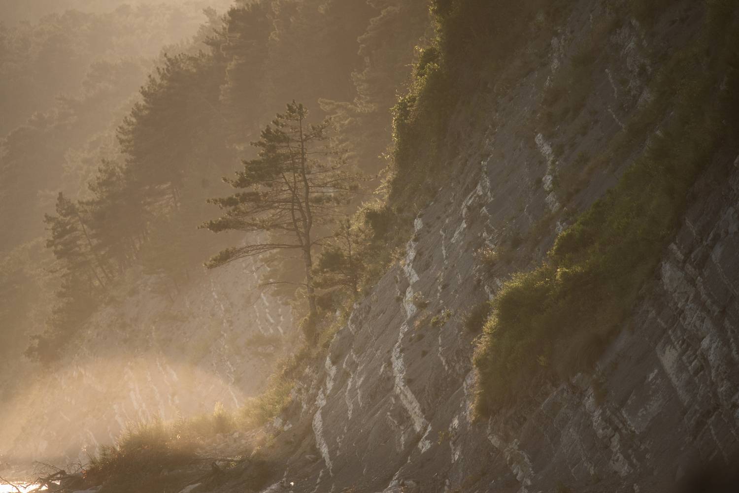 , Дмитрий Величко