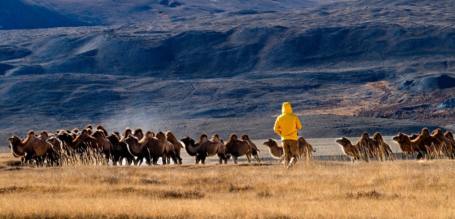 , Юрий Матвеев