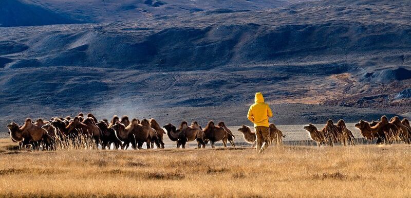 На прогулке фото превью