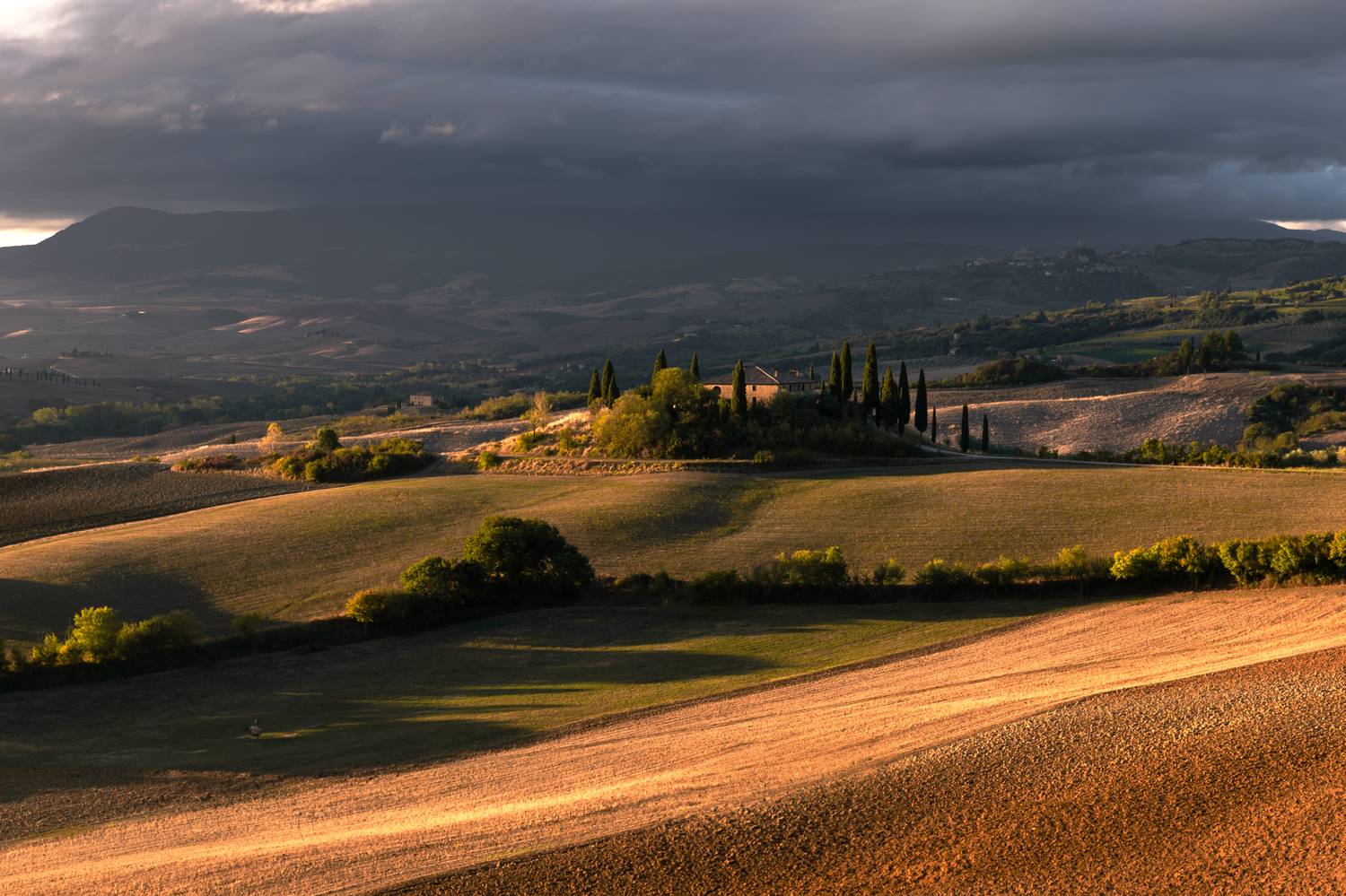 , Евгения Чех