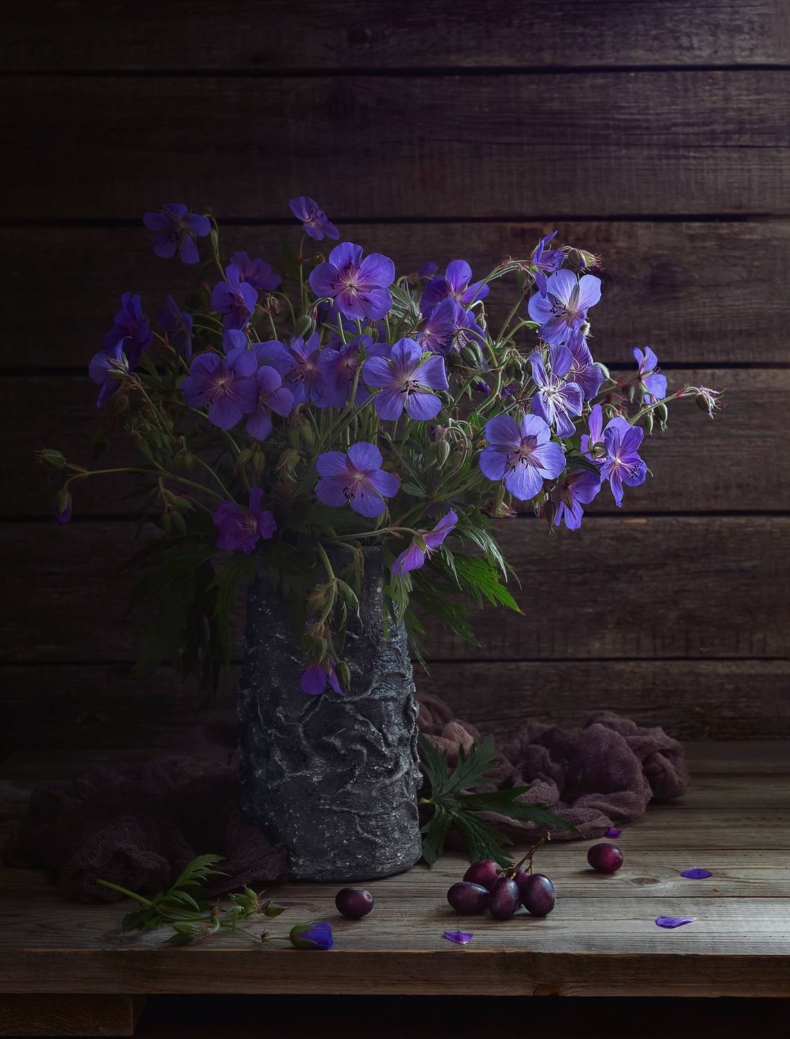 , Наталья Кабачек