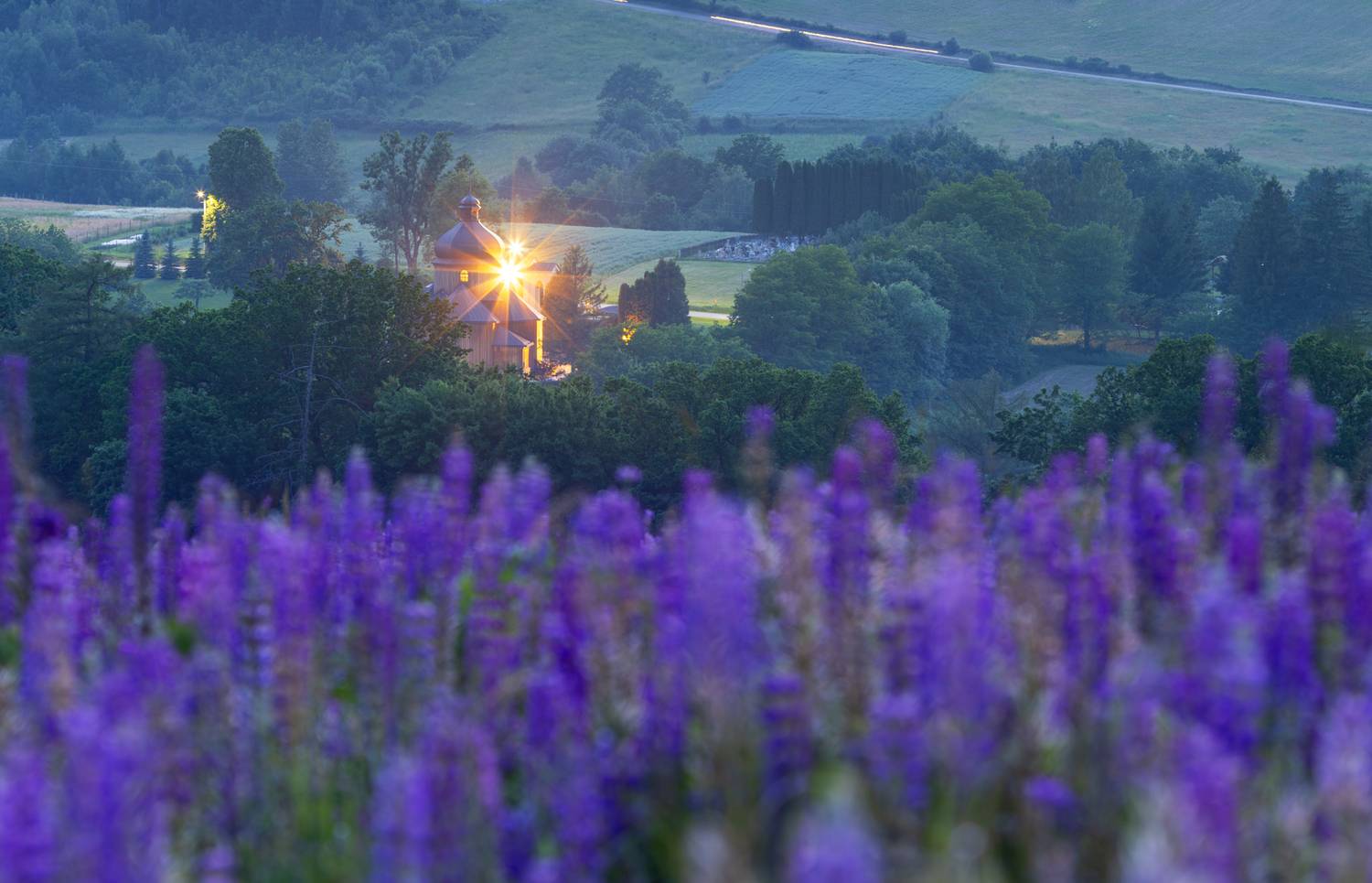 ,  Mirosław Pruchnicki