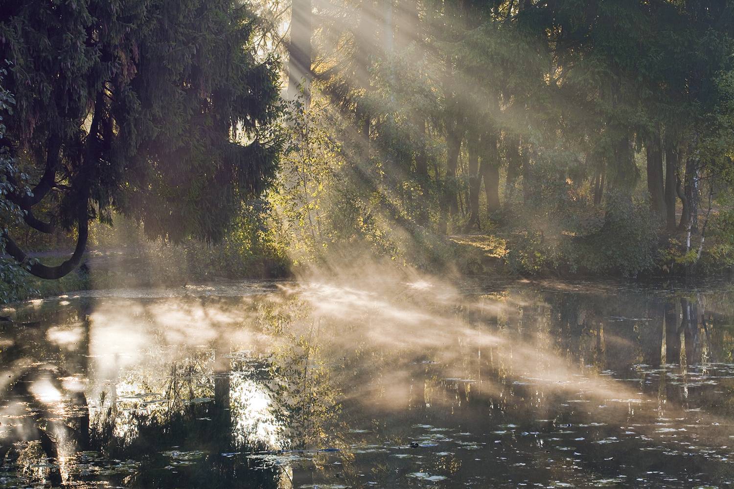 ,  александр михайлов