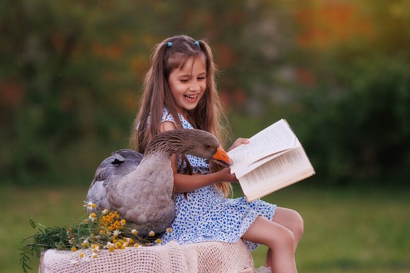 фото превью