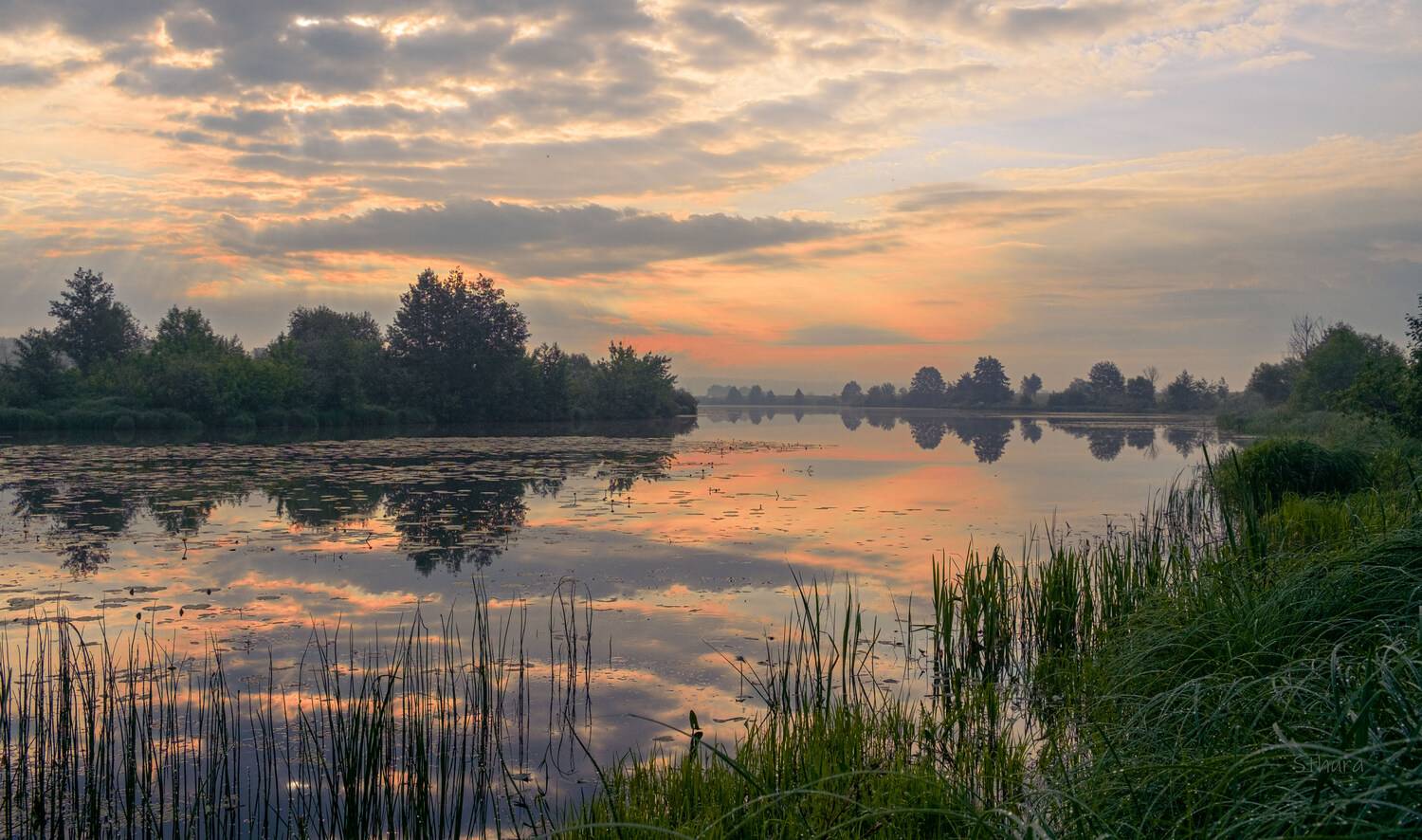 летний рассвет., Александр Строков