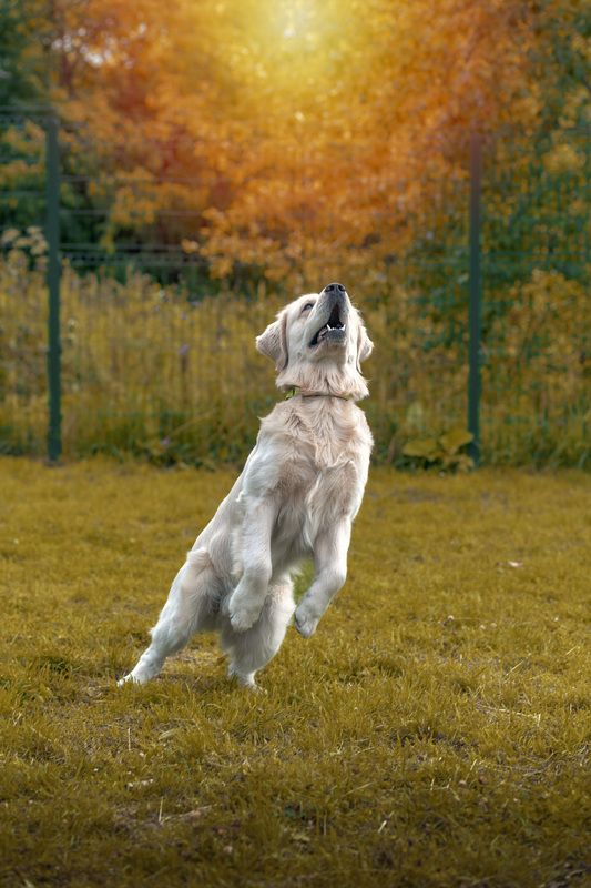 Jump! фото превью