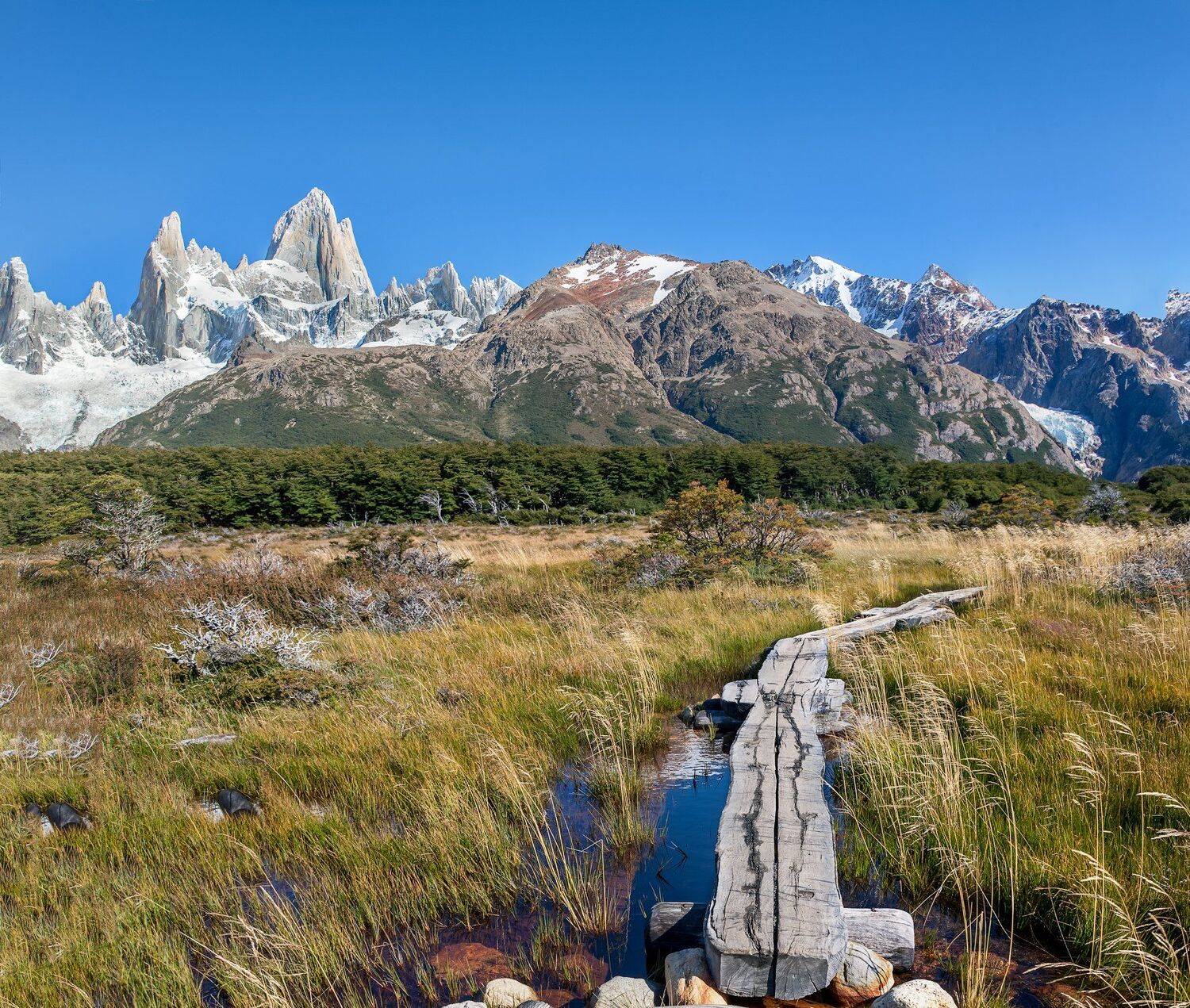 , Виктор Белименко