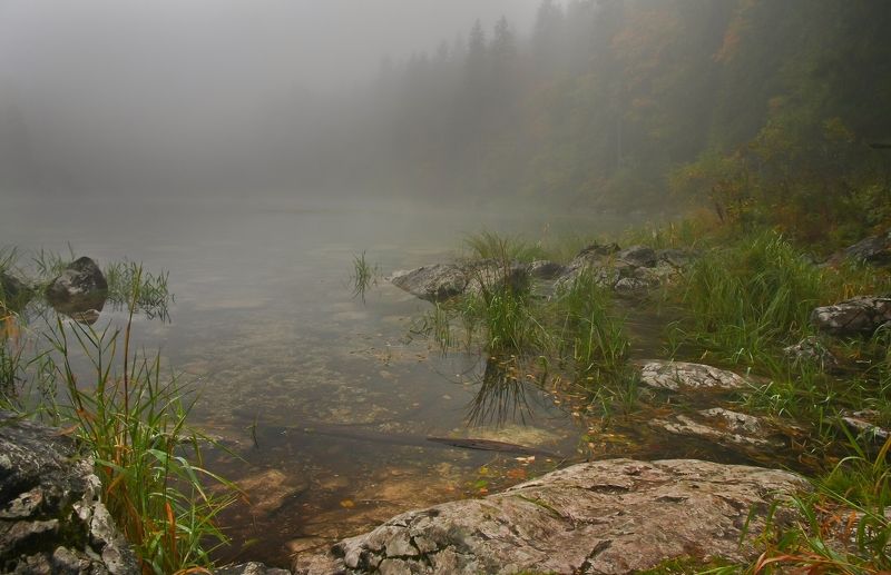 осенью на болотах фото превью