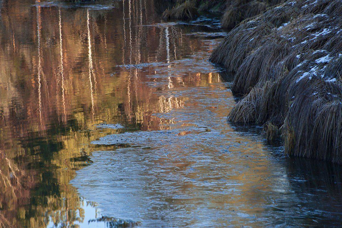 Ледок, Мещёра, Осень, Отражения, Река, Рязанская область, Валерий Пешков
