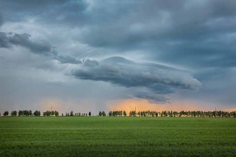 *** фото превью