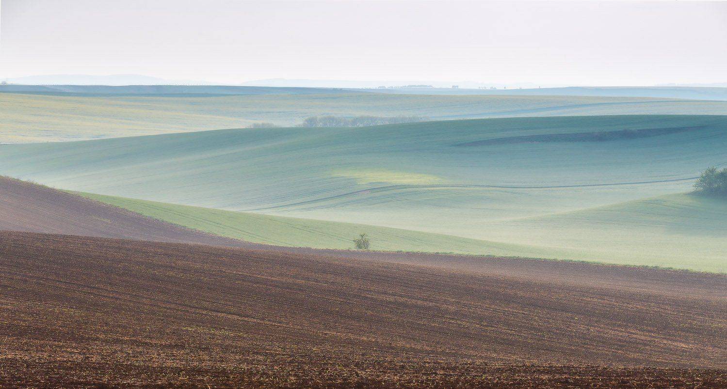 Апрель, Весна, Европа, Моравия, Туман, Утро, Чехия, Вейзе Максим