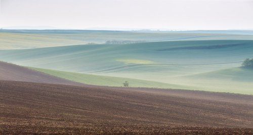 Заметки на полях
