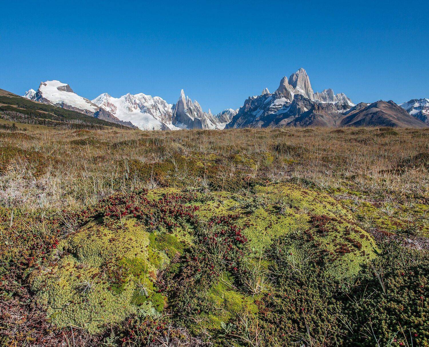 , Виктор Белименко