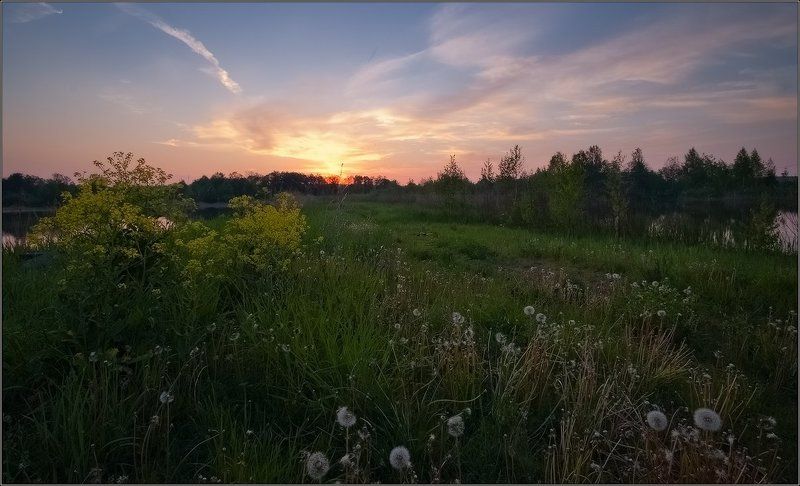 вальс одуванчиков... фото превью