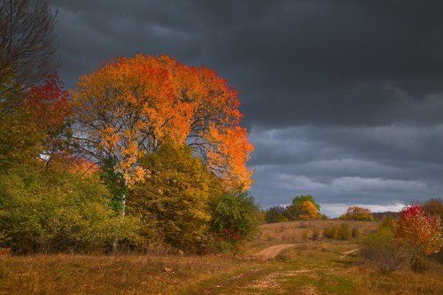 Забытая осень