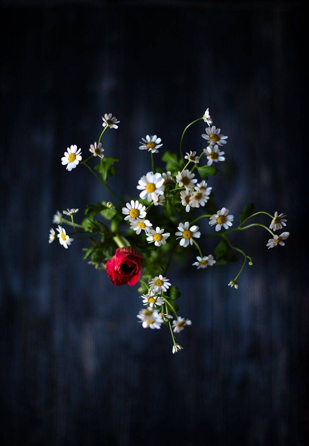 , Mariya  Irinarkhova