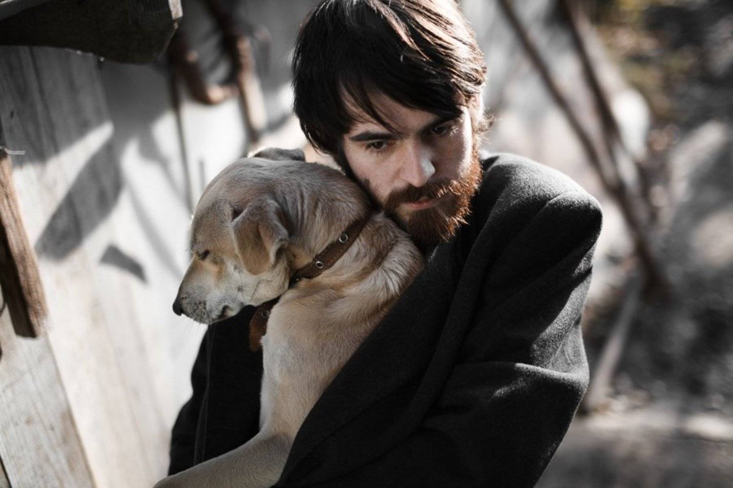 собака, парень, пёс, пес, холод, солнце, Сергей Белых