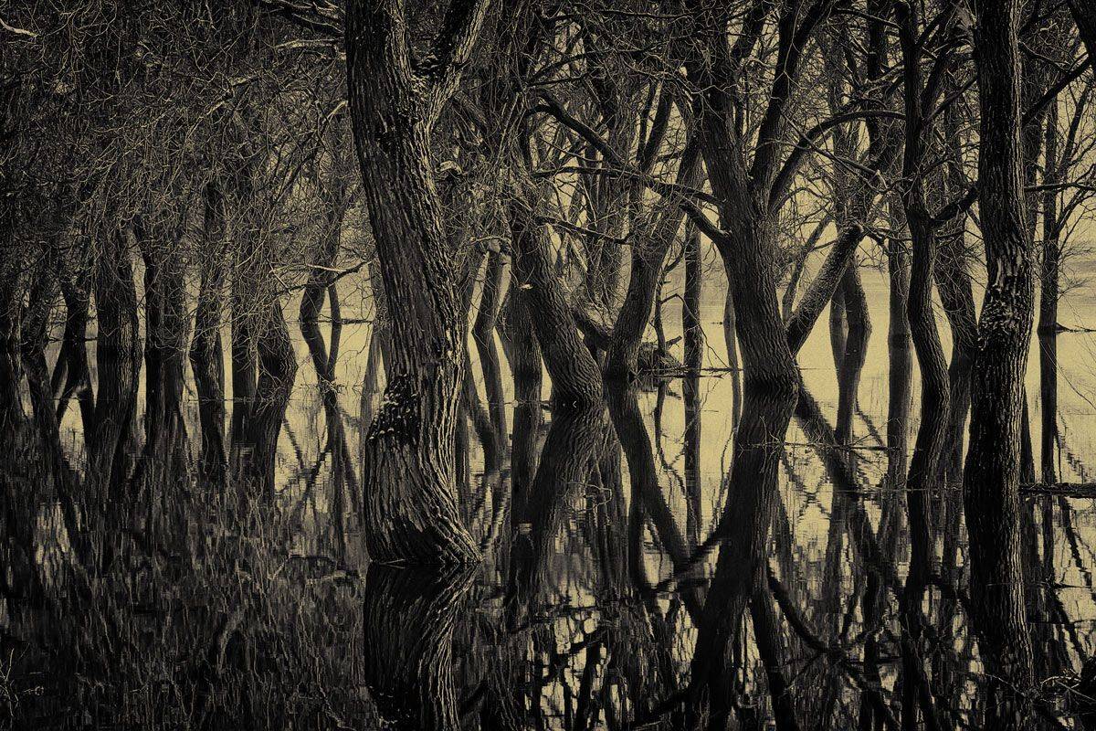 , Валерий Кондратов