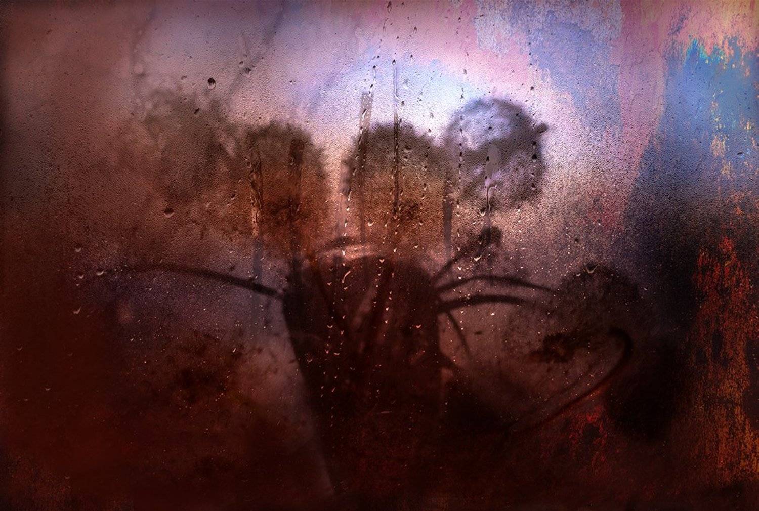 , Анна Кудрявцева