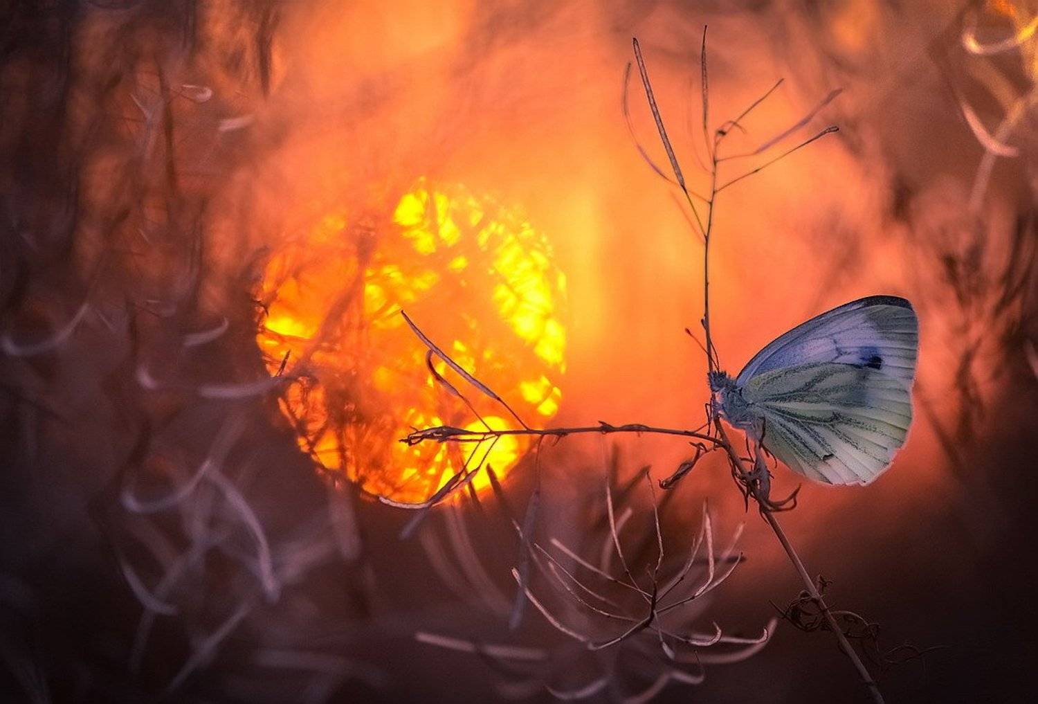 , Вячеслав Мищенко