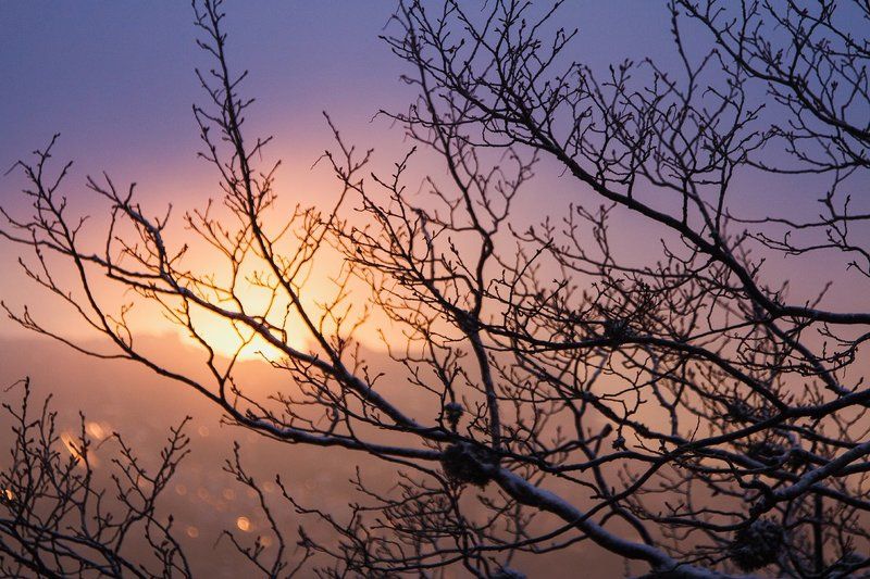 рассвет, sunrise, sun, crimea, солнце, весна, силуэты Сны о рассвете фото превью