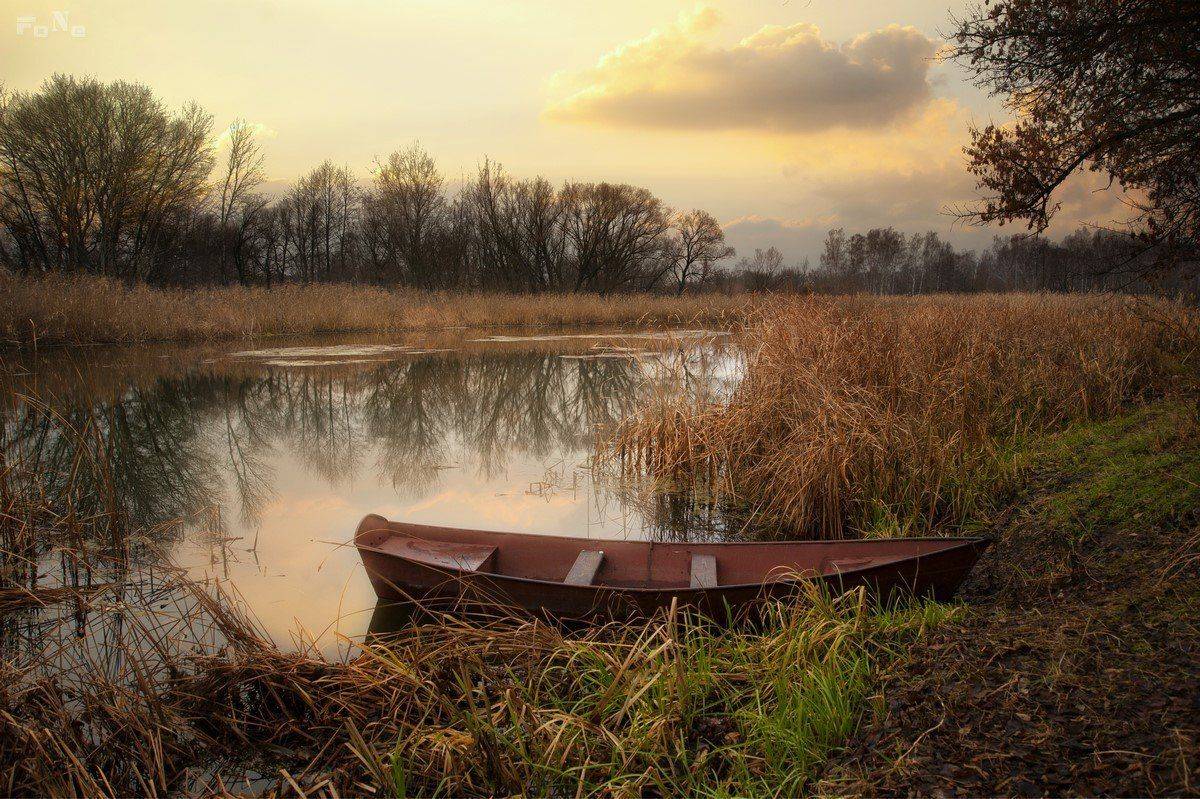 , Роман Красов