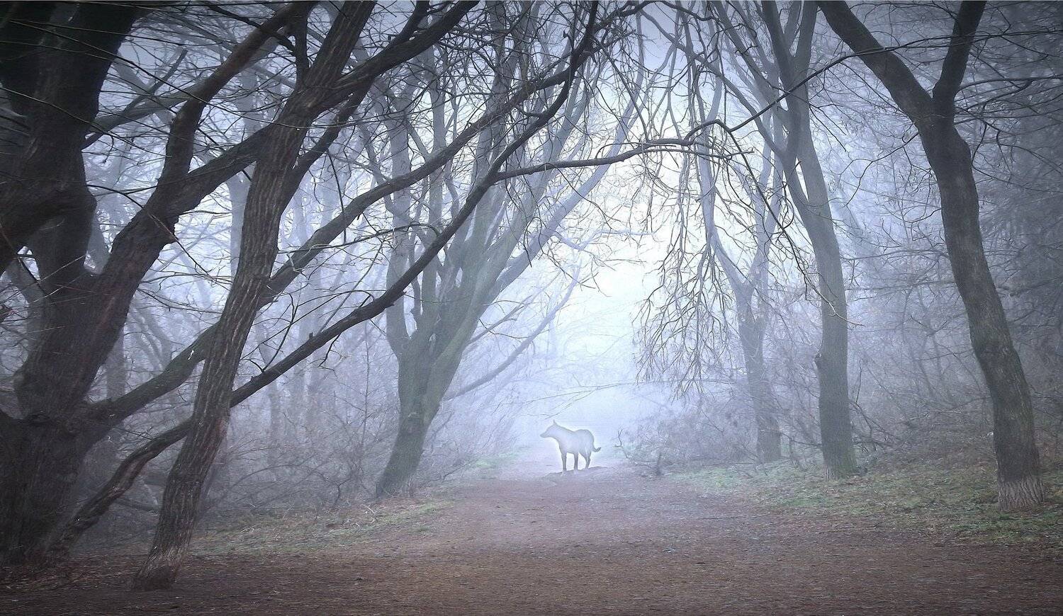 одесса, Сергей Кошелев