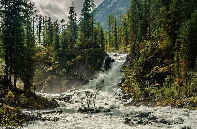 мятежный дух Мюшту Айры фото превью