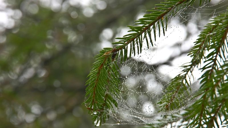 Это Осень фото превью